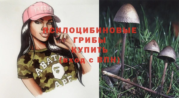 крисы Богданович