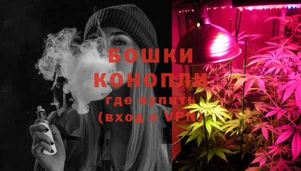 крисы Богданович