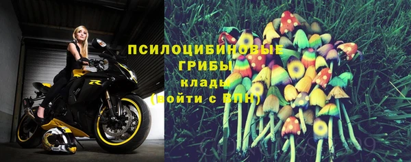 дмт Богородск