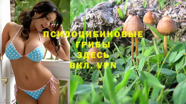 крисы Богданович