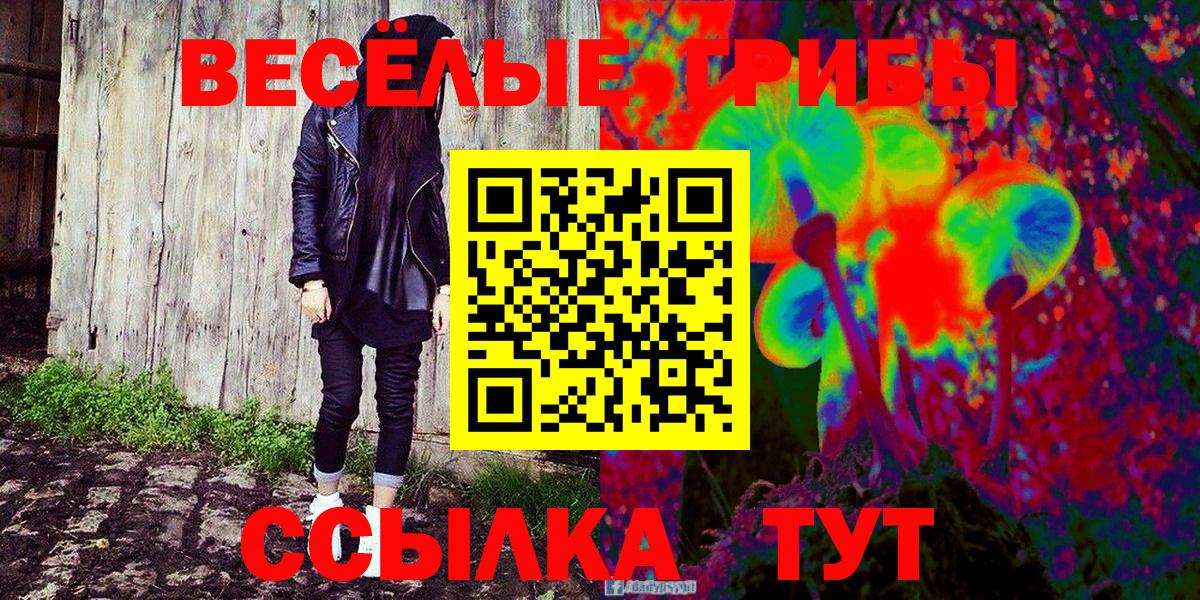 Галлюциногенные грибы GOLDEN TEACHER  Вход с VPN  купить   Северск  Галлюциногенные грибы Magic Shrooms 